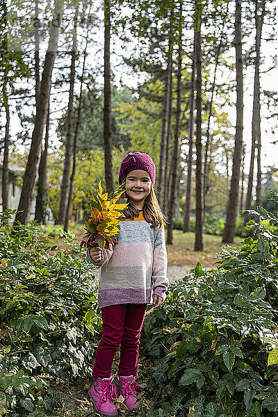 Lächelndes Mädchen  das einen Haufen Blätter hält