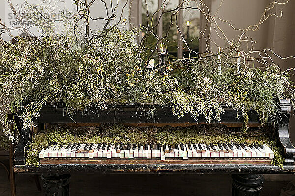 Old piano decorated with branches and moss at loft apartment