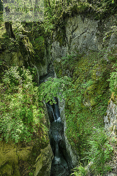 Österreich  Tirol  Wasserfall in steiler  enger Schlucht