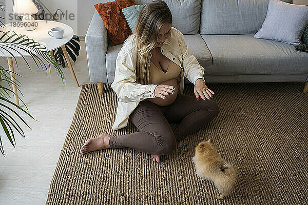 Schwangere Frau spielt mit Welpe  der zu Hause auf dem Teppich sitzt