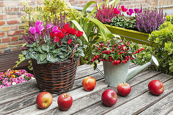 Frische Äpfel und blühende Blumen auf dem Balkontisch