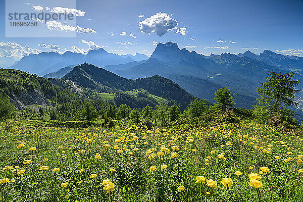 Italien  Venetien  Blick vom Monte Rite auf den Monte Pelmo mit Wiese im Vordergrund