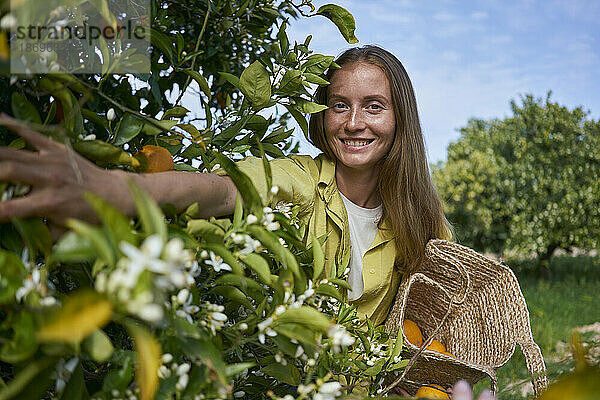 Lächelnde junge Frau am Orangenbaum im Obstgarten