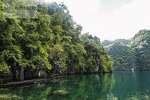 Sea with lush trees at Coron Island in Philippines