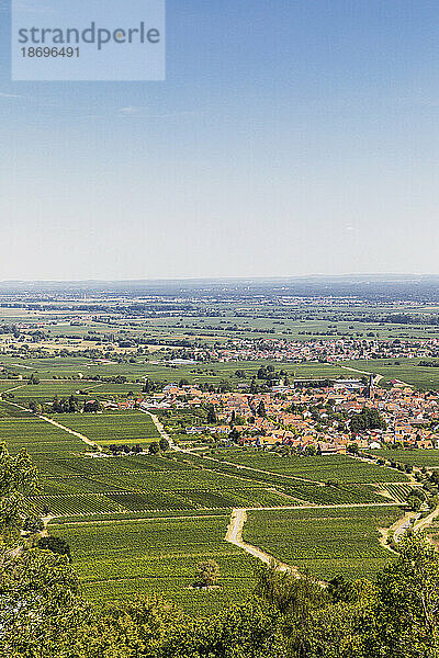 Deutschland  Rheinland-Pfalz  Dörfer umgeben von sommerlichen Weinbergen
