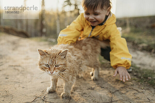 Junge spielt mit Katze im Wald