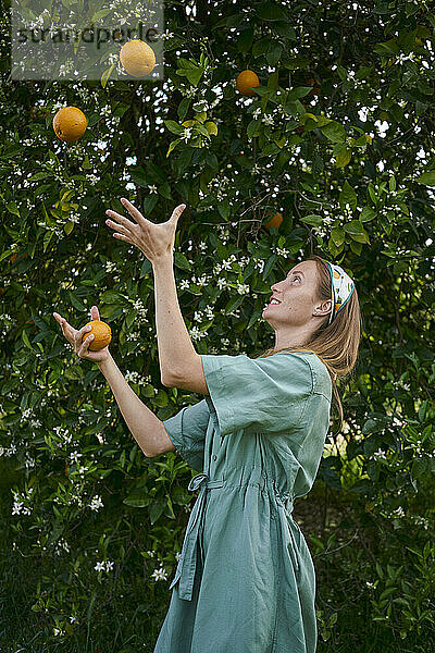 Frau jongliert mit Orangen vor einem Baum im Obstgarten