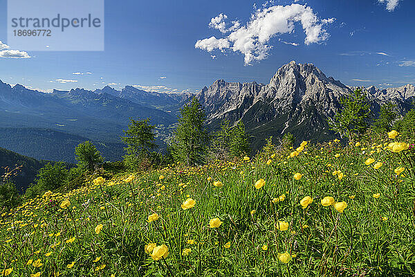 Italien  Venetien  Blick vom Monte Rite auf Antelao mit Wiese im Vordergrund