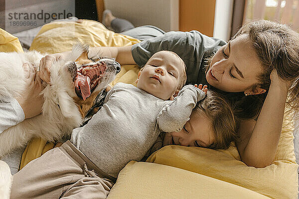 Mutter und Kinder spielen mit Australian Shepherd zu Hause im Bett