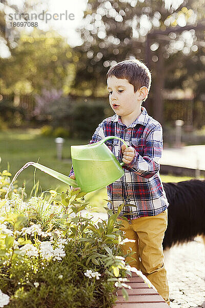 Junge gießt Pflanzen im Hinterhof