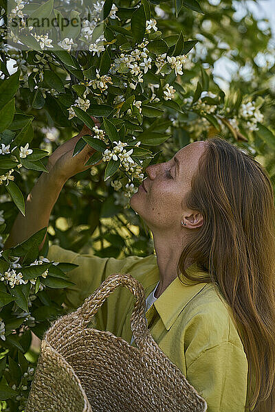 Frau riecht Orangenblüten im Obstgarten