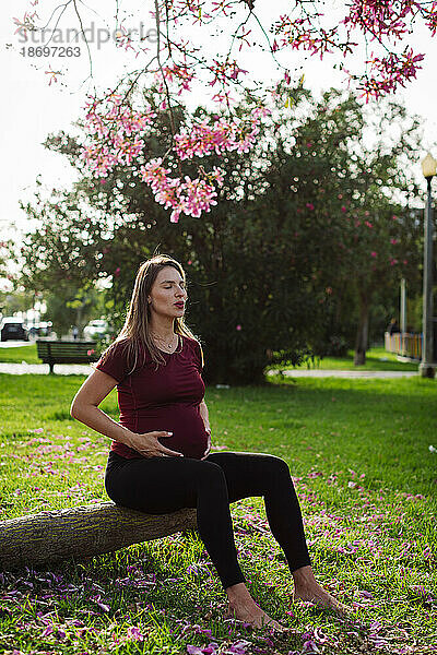 Schwangere Frau meditiert auf einem Baumstamm auf dem Rasen