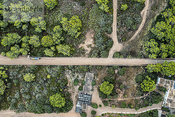 Spanien  Balearen  Formentera  Drohnenansicht von Bäumen rund um die leere Straße