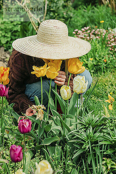 Frau mit Hut duftet nach Tulpen im Garten