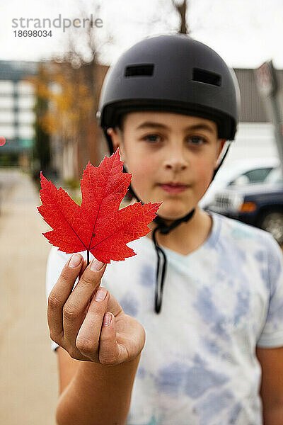 Teenager mit Fahrradhelm steht draußen in einer Stadtstraße und hält ein rotes Ahornblatt; St. Albert  Alberta  Kanada