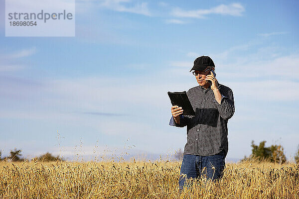 Landwirt nutzt ein Tablet  um seine Ernte zu verwalten  und telefoniert mit seinem Handy  während er auf einem vollreifen Getreidefeld steht; Alcomdale  Alberta  Kanada