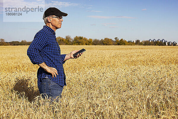 Landwirt nutzt ein Tablet  um seine Ernte zu verwalten  während er auf einem vollreifen Getreidefeld steht; Alcomdale  Alberta  Kanada