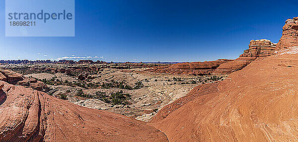 Weite Landschaft aus Sandsteinfelsen im Needles District des Canyonlands-Nationalparks mit Blick auf Devil's Kitchen; vereinigte Staaten von Amerika