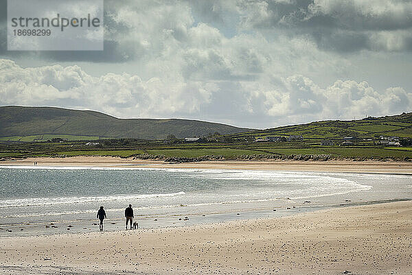 Blick von hinten auf zwei Personen und einen Hund  die am Strand der Ballyferriter Bay auf der Dingle-Halbinsel im Atlantischen Ozean entlang spazieren; Grafschaft Kerry  Irland