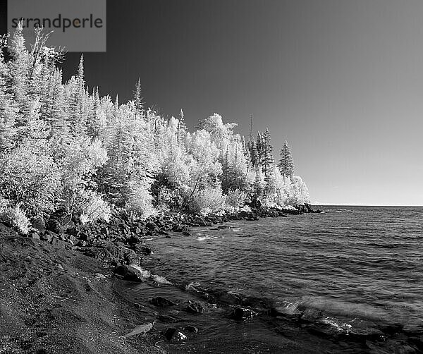 Infrarot von Bäumen am Ufer des Lake Superior; Thunder Bay  Ontario  Kanada