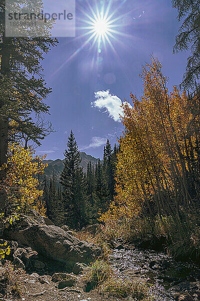Wasser und Herbstfarben im Rocky Mountain National Park  Colorado  USA; Colorado  Vereinigte Staaten von Amerika