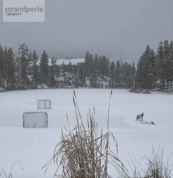 Wintertag in einer Gemeinde mit Hockeynetzen auf einem zugefrorenen Teich; British Columbia  Kanada