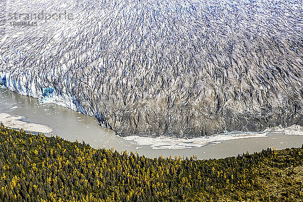 Eine Luftaufnahme der Gletscher des Taku Inlet in Alaska.