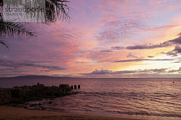 Blick vom Strand auf die Silhouette von Palmwedeln und auf einen felsigen Steg  der ins Meer ragt  mit einem Himmel aus violetten und rosa Wolken und vor der Küste vertäuten Booten und dem goldenen Schein des Sonnenuntergangs  der sich im Wasser spiegelt; Nord-Kihei  Maui  Hawaii  Vereinigte Staaten von Amerika