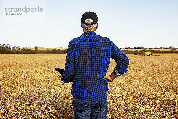 Blick von hinten auf einen Bauern  der mit einem Tablet seine Ernte verwaltet  während er auf einem vollreifen Getreidefeld steht und im Hintergrund einen Mähdrescher arbeitet; Alcomdale  Alberta  Kanada