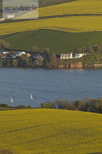 Malerisches Ackerland auf sanften Hügeln mit Segelbooten und Häusern am Ufer der Mündung des Flusses Teign  in der Nähe der Stadt Teignmouth  in Devon  Südwestengland; Devon  England