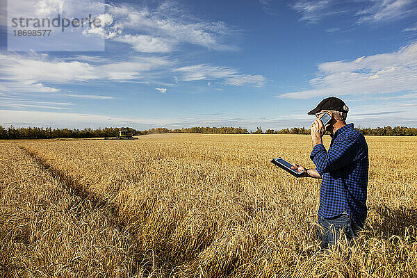 Landwirt nutzt ein Tablet  um seine Ernte zu verwalten  und telefoniert mit seinem Handy  während er auf einem vollreifen Getreidefeld steht; Alcomdale  Alberta  Kanada