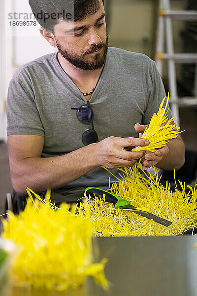 Mann im Rollstuhl schneidet frische Microgreens auf einem städtischen Bauernhof; Edmonton  Alberta  Kanada