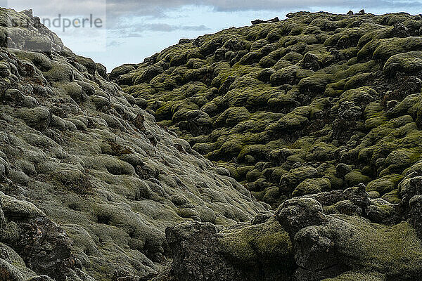 Geheimnisvolle und künstlerische Muster eines moosbedeckten Lavafeldes in Island; Südisland  Island