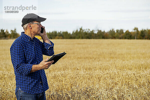 Landwirt nutzt ein Tablet  um seine Ernte zu verwalten  und telefoniert  während er auf einem Weizenfeld steht; Alcomdale  Alberta  Kanada
