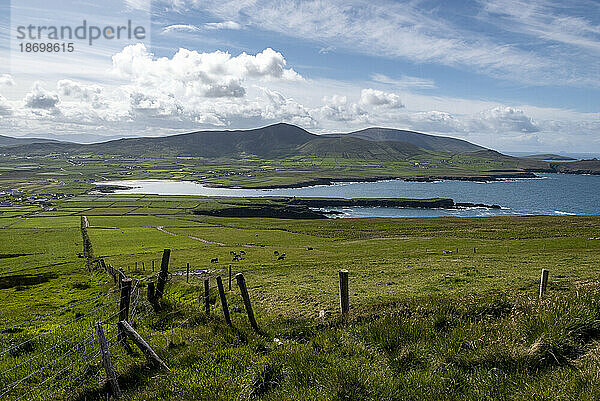 Malerischer Blick von Sybil Head auf die atlantischen Küstendörfer und grasbewachsenes Ackerland mit grasendem Vieh auf den Feldern auf der Dingle-Halbinsel; Grafschaft Kerry  Irland