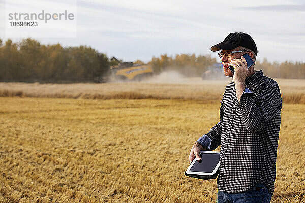 Landwirt nutzt ein Tablet  um seine Ernte zu verwalten  und telefoniert mit Erntemaschinen im Hintergrund; Alcomdale  Alberta  Kanada