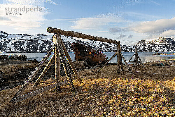 Berühmtes rostiges Schiffswrack  Sudurland-Schiffswrack in der Nähe der verlassenen Heringsfabrik in der Stadt Djupavik an der Strandir-Küste in den Westfjorden Islands; Djupavik  Westfjorde  Island