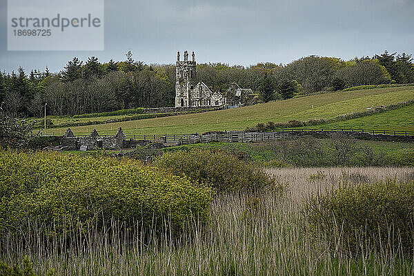 Alte Ruinen der Castlefreke Church (Rathbury Church) entlang Long Strand; Castlefreke  West Cork  Irland