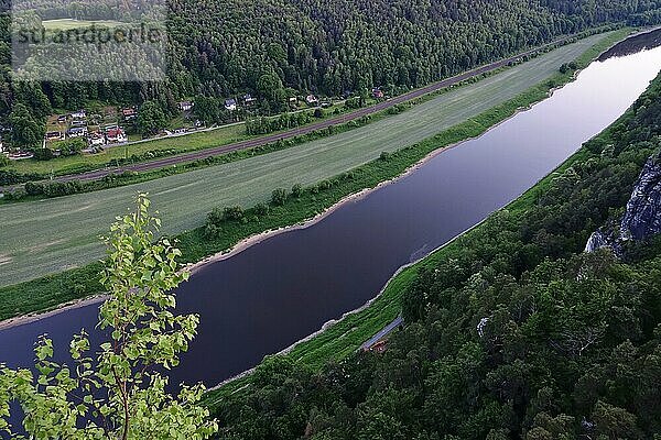 Elbsandsteingebirge im Juni  Sachsen  Deutschland  Europa