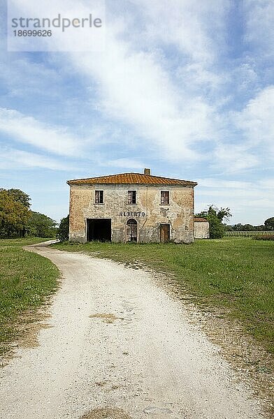Traditionelles Landhaus  Toskana  Italien  Europa