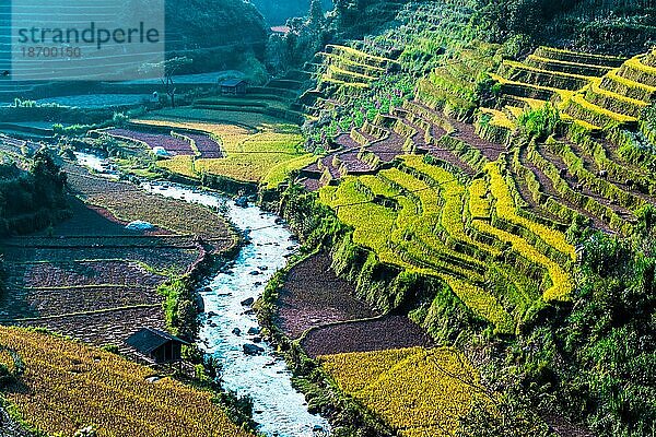 Landschaftsansicht von Reisfeldern im Bezirk Mu Cang Chai  Provinz Yen Bai  Nordvietnam