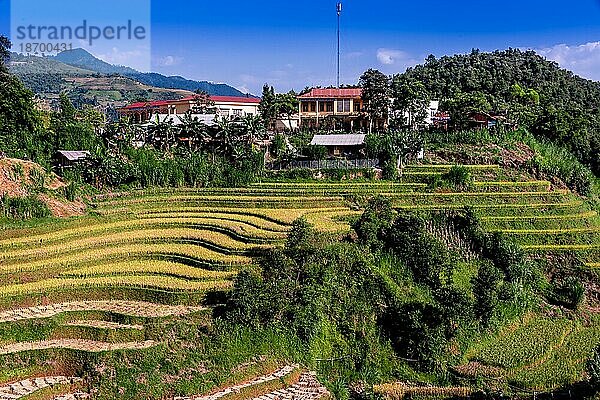 Landschaftsansicht von Reisfeldern im Bezirk Mu Cang Chai  Provinz Yen Bai  Nordvietnam