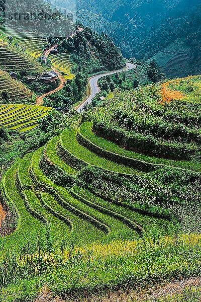 Landschaftsansicht von Reisfeldern im Bezirk Mu Cang Chai  Provinz Yen Bai  Nordvietnam