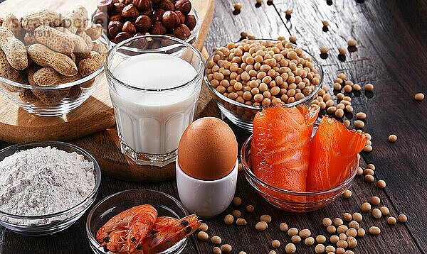 Zusammensetzung mit gängigen Lebensmittelallergenen wie Ei  Milch  Soja  Erdnüssen  Haselnüssen  Fisch  Meeresfrüchten und Weizenmehl