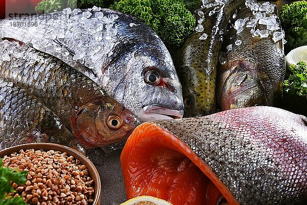 Verschiedene Arten von Fisch auf dem Küchentisch