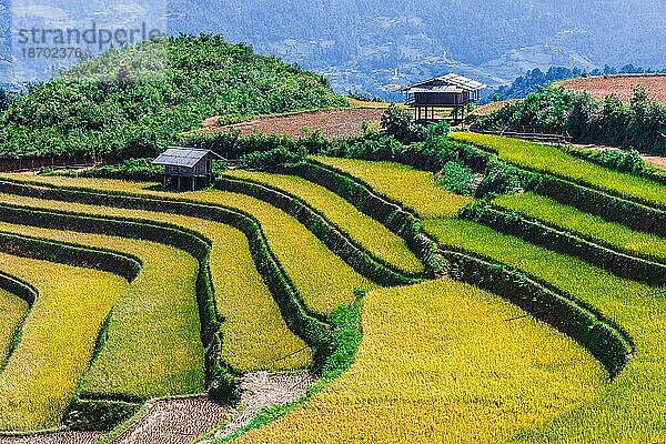 Landschaftsansicht von Reisfeldern im Bezirk Mu Cang Chai  Provinz Yen Bai  Nordvietnam