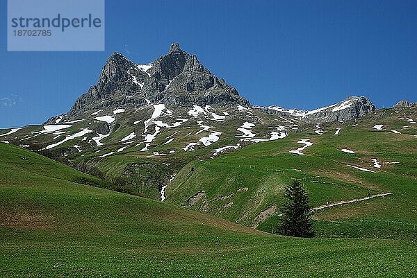 Widderstein am Hochtannbergpass in Österreich