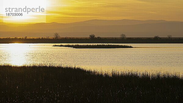 Sonnenuntergang in der Mexikópuszta  Mexikopuszta  Nationalpark Neusiedler See Seewinkel  Fertö-Hanság Nemzeti Park  Fertö-Hansag  Ungarn  Europa