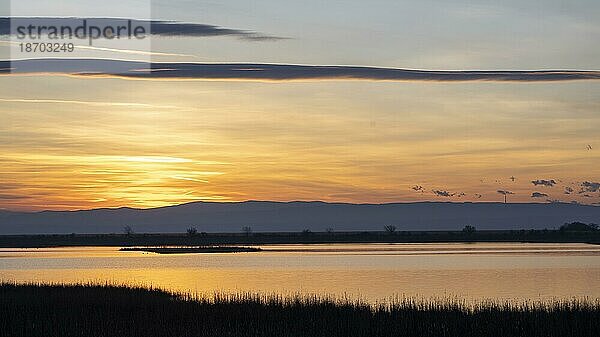 Sonnenuntergang in der Mexikópuszta  Mexikopuszta  Nationalpark Neusiedler See Seewinkel  Fertö-Hanság Nemzeti Park  Fertö-Hansag  Ungarn  Europa