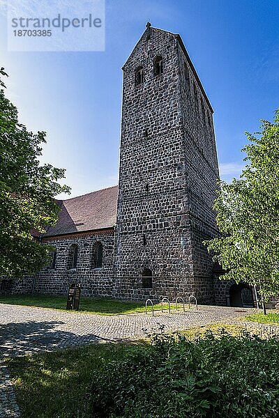 Stadtkirche St. Crucis  Ziesar  Brandenburg  Deutschland  Europa